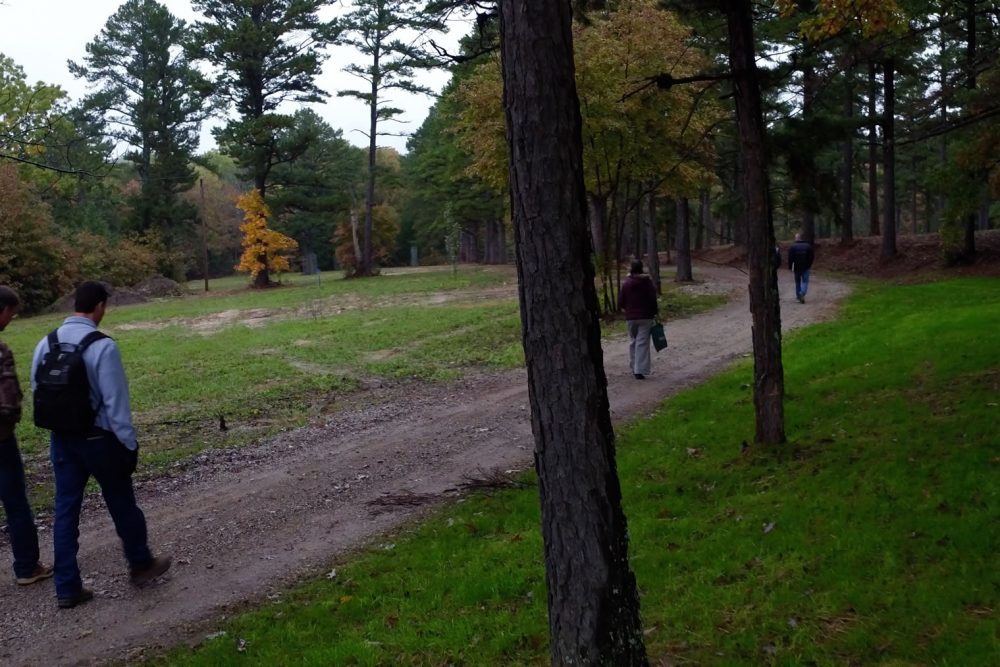 walking-down-path